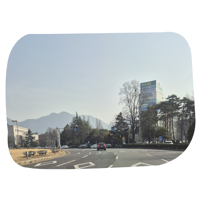 리뷰